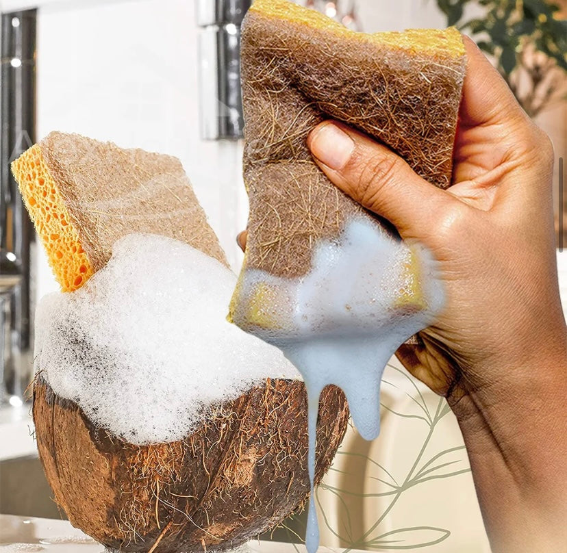 Eco Friendly Dish Sponge