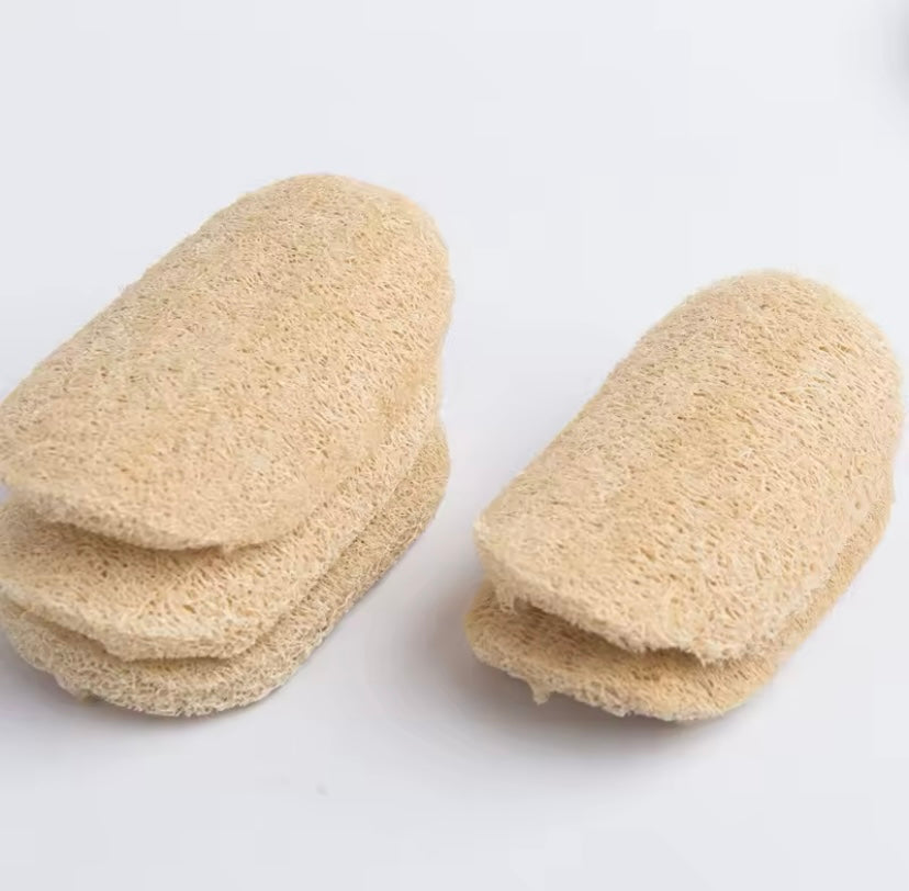 Natural Luffa Sponge