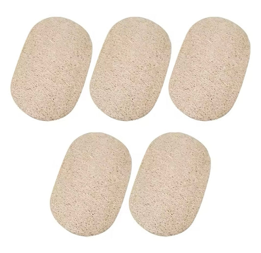 Natural Luffa Sponge