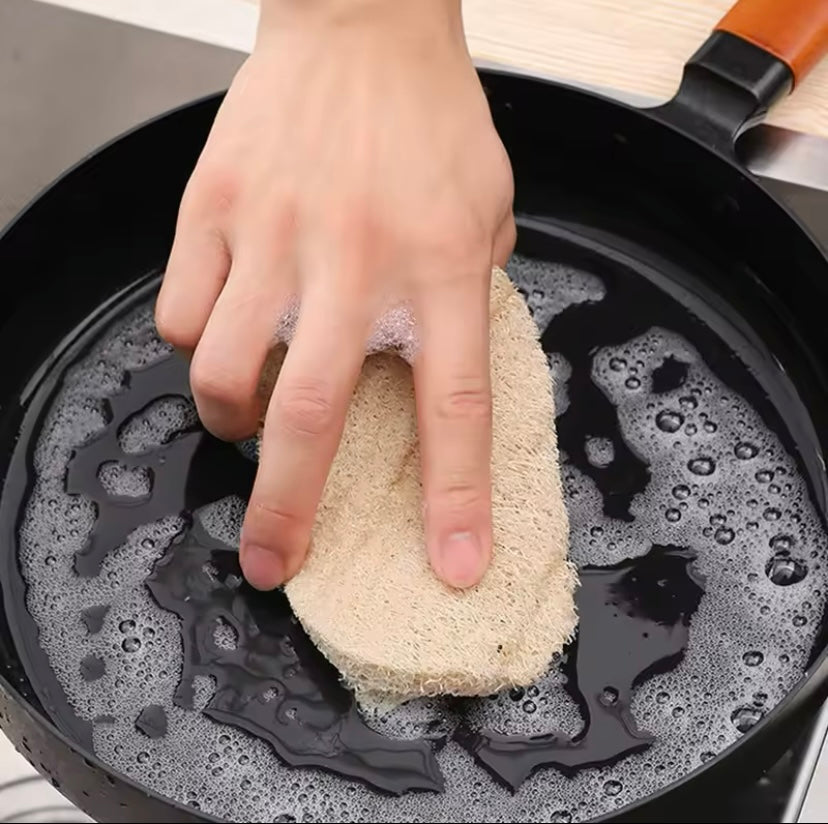 Natural Luffa Sponge